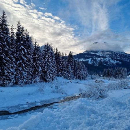 Hirsch Haus Lejlighed Santo Stefano Di Cadore Eksteriør billede